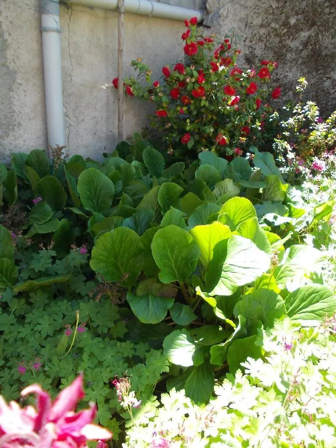 Holiday home La Bergerie Villa Sost
